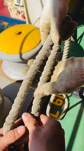 The sheet bend is a bend knot. It is practical for joining lines of different diameter or rigidity. It is quick and easy to tie, and is considered so essential it is the first knot given in the Ashley Book of Knots. #everyoneジ #fblifestyle #reelsfbシ #reelsvideoシ #fbreelsfypジ #fypシ #fbreels #howto #reelsfype #reelsfb #fb #foryou #camping #rope #tutorial #tips #tiktok #Outdoors #technique #highlightseveryone #easyknot #tricks #viral #climbing #camping #sheetbend | All About Knots