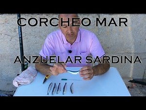 Iniciación corcheo mar, Como anzuelar o encarnar la Sardina. Buen cebo para lubina Fácil