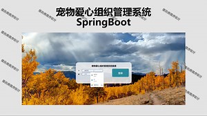 基于springboot   Vue 的宠物爱心组织管理系统（宠物爱心组织管理系统）的设计与实现