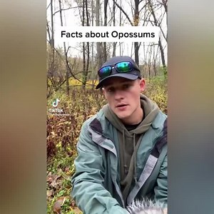 Opossums deserve our love and... - Animals Doing Things