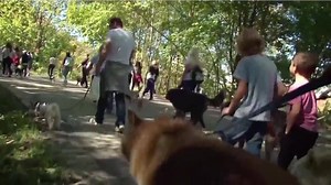 94K views · 1.3K reactions | LA MARCHE ANNUELLE S’APPROCHE À GRAND...