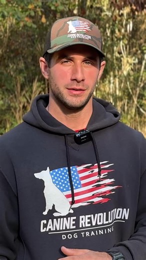 2.8K views · 35 reactions | The history of the Dalmatian breed! The Dalmatian Complete Breed Guide is out now on our YouTube channel, link in bio  #dogs #dalmatian #dalmatianworld #dalmatianlovers #dogtrainer #dogtraining #history | Canine Revolution Dog Training | Facebook