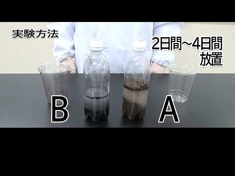 [ 教員用 ] 中学生物分野 実験動画「土の中の微生物のはたらき」（実験方法編）ver.2