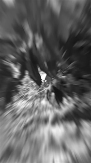 Bussy Ruth on TikTok