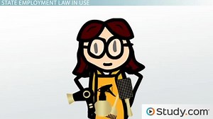 Employment Law | Definition, History & Enforcement - Video | Study.com