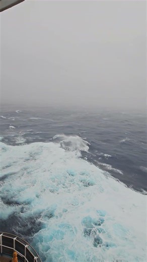 Even our ship is rocking because of the hurricane, I still love it