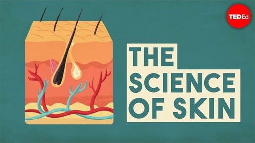 The science of skin