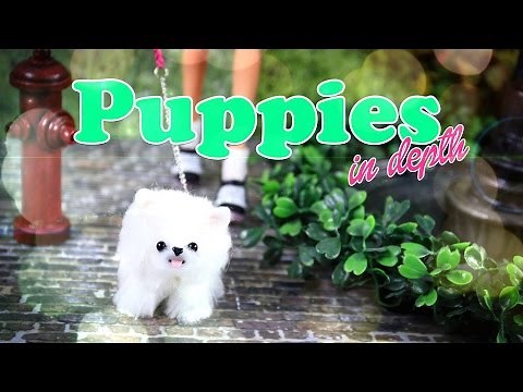 DIY - How to Make: Cute Doll Puppies - In Depth - Handmade - Craft - 4K