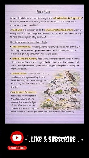Food Web Explained 🌿 | Components, Food Chain vs Food Web | Biology Notes