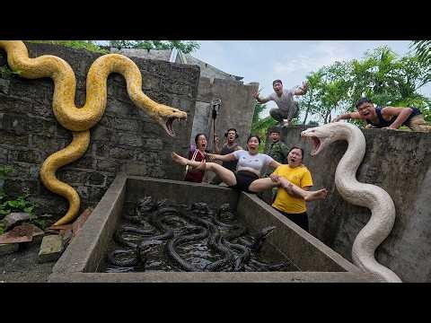 Brave Expert Rescues Younger Sister from Giant White Python