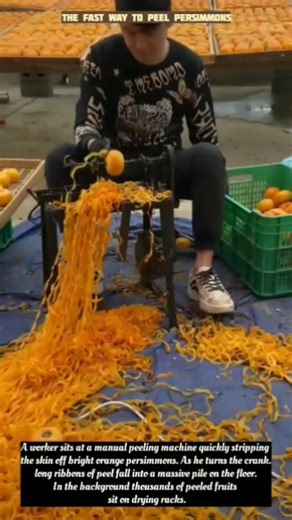 The Fast Way to Peel Persimmons
