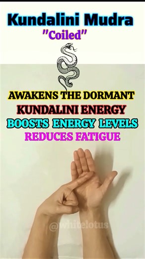 Awaken Your Inner Power 💥 #mudra #yogamudras #ytshorts