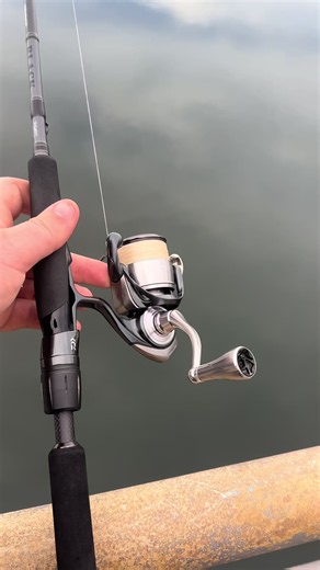 Aussie Winter Bream Fishing: Pure Chunk Catch