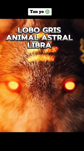 Características del signo zodiacal Libra: Amistad y personalidad