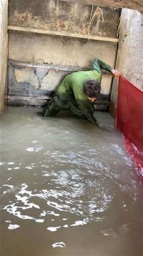 fishing‪@ABPNews‬udate‪@MariaClaraeJP‬ like subscribe share comments‪@CoComelon‬