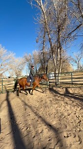 Ride through the fear, even if they say you’re too old to restart. And with Mustangs, the personal relationship between owner and horse is paramount. | Buddy’s Mustang Rescue