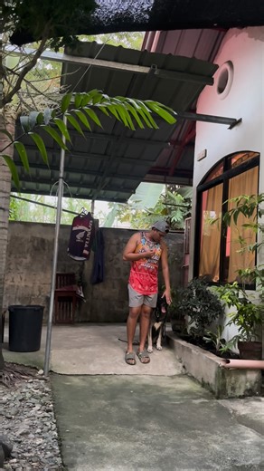 1.1K views · 65 reactions | 6 years old Belgian Malinois Floki Day 2 Basic Obedience Future NDD Aywa awooooo #viralreelschallenge #k9 #k9training #k9handler #fypchallenge | Ok Kim O Kar | Facebook