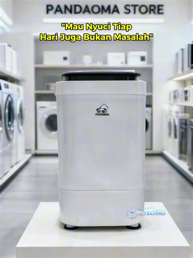 Pandaoma Mini Washing Machine: Compact Cleaning Solution