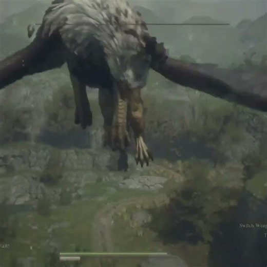 Average Dragon's Dogma 2 Experience