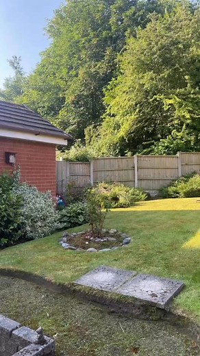 This project is to remove all of the bushes, stumps and roots, just leaving the hosta plants Karl Fischer Garden Grounds & Tree Maintenance Limited | Karl Fischer Garden Grounds & Tree Maintenance Limited