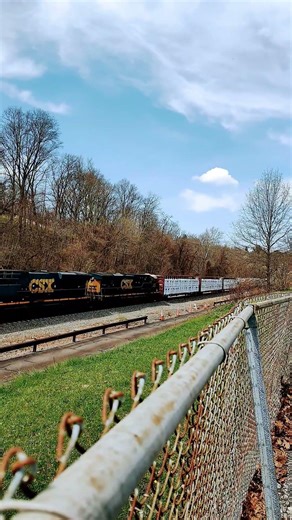 CSX Mixed Freight Train