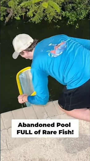 What's Living in This Nasty Abandoned Pool? #abandoned #animals #creature #fish #fishing