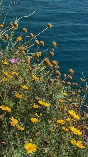 One Positive Thought Can Change Your Whole Day Motivation reels