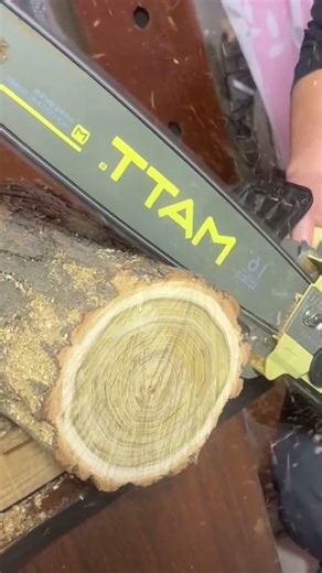 Industrial Timber Slicing with Chain Saw