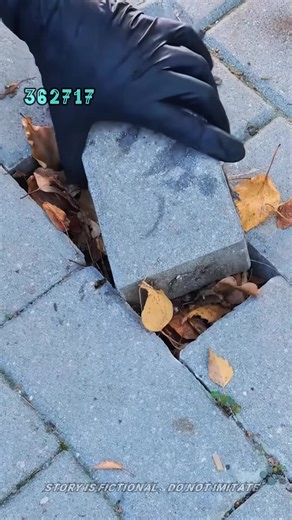 Exploring a Beloved Book: Part 1-4 Insights