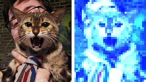 FFmpeg gets its own implementation of Google’s VP8 codec