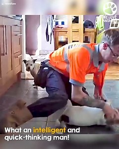 5M views · 280K reactions | this man rushes to save his chocking dog #dog | Dogs are our Soulmate | Facebook