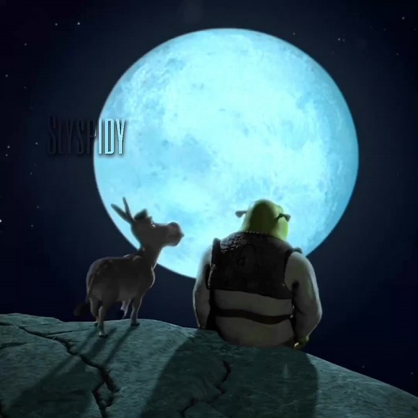 Shrek and Donkey Adventure: A Night Under the Moon