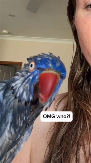 Bridget Chant | Glad he is feeling well enough to be a perv. #birds #baby #shower #morningroutine #funny | Instagram