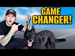 How To Use A Slip Leash To Train Your Dog!
