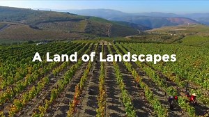 How about a taste of Portugal for the weekend? Portugal is a land of landscapes. Everyone needs to get inspired once in a while. Take a train ride throughout the country, enjoy the view from the window and smile in amazement. Can't skip new horizons. Can't skip Portugal. info: https://goo.gl/dzABGs [The Portuguese picked their mobile phones and cameras and filmed their favourite bits of Portugal] | Visit Portugal