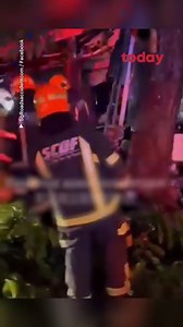10K views · 108 reactions | WATCH: An SBS Transit driver died in the wee hours of Sunday morning (Oct 9), after the empty bus he was driving crashed into a tree near Hougang bus depot. He was found trapped in the driver seat and extricated by rescuers from SCDF. Read on: https://tdy.sg/3ypwL0A | TODAY | Facebook