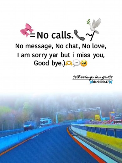 No Calls, No Messages: Saying Goodbye When You Miss Someone