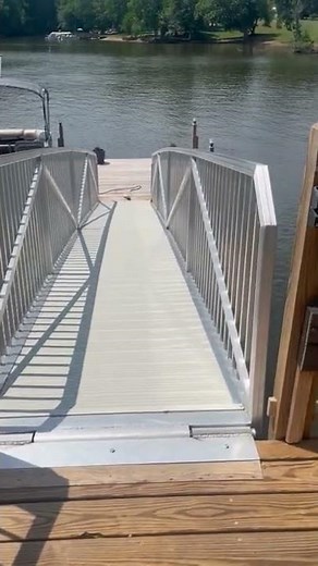 Full Speed Turtle || ViralHog