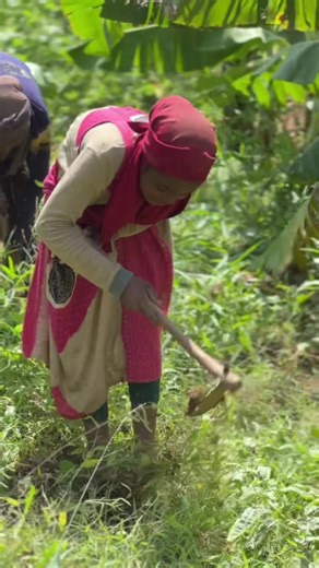 Maximizing Sustainable Agriculture in Somalia