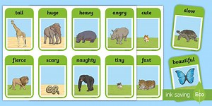 Zoo Animals Adjectives Flashcards