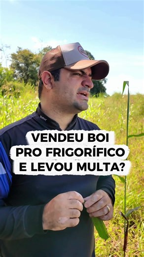 Vendeu gado pro frigorífico👇🏼👇🏼👇🏼 GTA emitida. Tudo ‘normal’. Semanas depois: multa de R$ 500 por cabeça. Na Operação Carne Fria 3, em 2025, o IBAMA apreendeu 7.061 cabeças de gado e aplicou R$ 49 milhões em multas. Seis frigoríficos foram autuados em R$ 4 milhões por comprar gado de áreas embargadas. Quem responde: → O dono da área embargada — por descumprir embargo → Quem vendeu — por comercializar produto de área irregular → O frigorífico que comprou — R$ 500 por cabeça adquirida Antes 