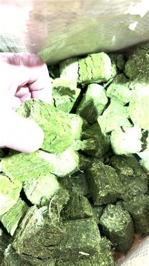 Montana Premium Forage Alfalfa Cubes