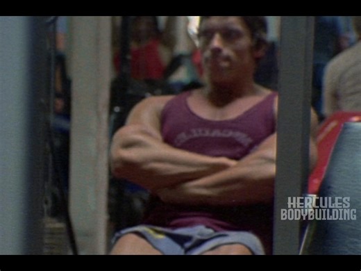 Arnold Schwarzenegger’s Complete Workout Routine! (Part 20) 💪 #arnoldschwarzenegger #workout #exercise #workoutmotivation #exercisemotivation #gymmotivation #bodybuilding | Hercules Bodybuilding