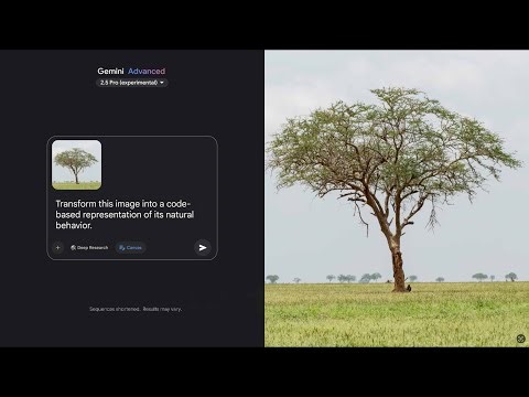 Gemini 2.5: Vibe coding nature to simulation