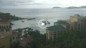 Frenchman's Cove Cam