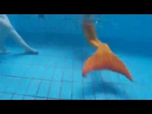 Underwater MERMAID Live Mermaids Swimming in Our Pool!!!!