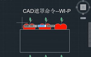 CAD遮罩命令