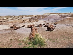 Crystal Forest Trail - Petrified Forest National Park - Arizona