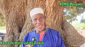 #Société. Arbre à palabre avec mystère. L'histoire d'un arbre à palabre de plus de 300 ans dans la commune de Dalein. L'arbre à palabre communément appelé #Kaaraahi_Hoorê_Saatina dans le district de Ndantawii à 7km de Dalein, 37 km de Labé regorge de mystères avec sa pierre aussi âgée sur les lieux que l'arbre. l’arbre à palabres est un lieu traditionnel de rassemblement, à l'ombre duquel on s'exprime sur la vie en société et les problèmes du village. Partie 22 | Mamadou Sadio Diallo