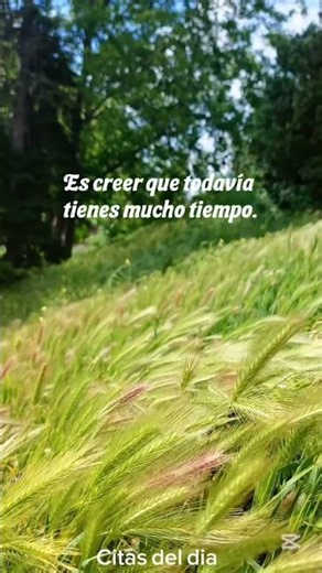 Citas del dia